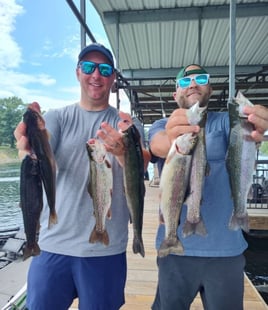 Trout Fishing In Lake Taneycomo