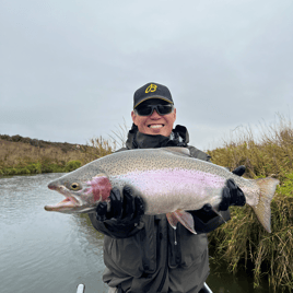 Trophy Rainbow Trout in creek