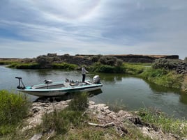 Fly Fishing for Bass