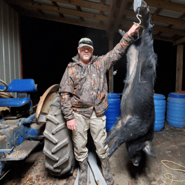 Hog Hunt