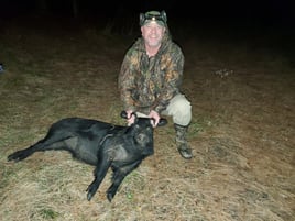 Hog Hunt