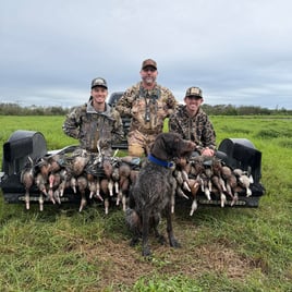 Lake Okeechobee Duck Hunts