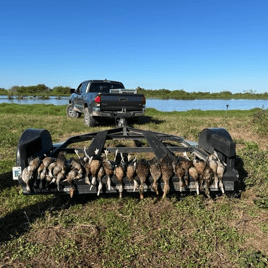 Lake Okeechobee Duck Hunts