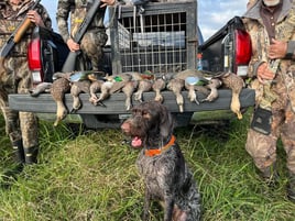 Lake Okeechobee Duck Hunts