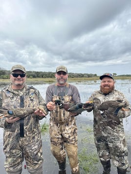 Lake Okeechobee Duck Hunts