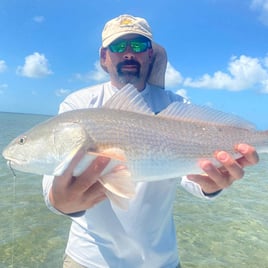 Redfish Fishing in Big Pine Key, Florida