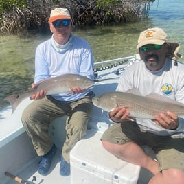 Redfish Fishing in Big Pine Key, Florida