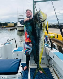 Mahi Mahi Fishing in Kapaʻa, Hawaii