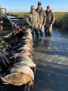 Gulf Coast Duck Hunt