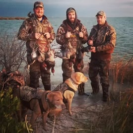 Rockport Duck Hunt