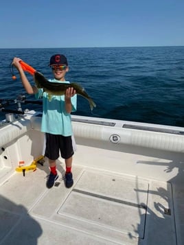 Lake Erie Walleye Roundup