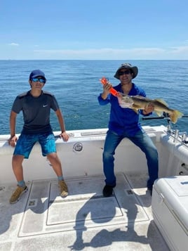 Lake Erie Walleye Roundup