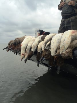 Gulf Coast Duck Hunt