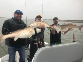 Redfish Fishing in Port O'Connor, Texas