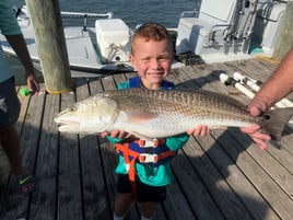 Redfish Fishing in Port O'Connor, Texas