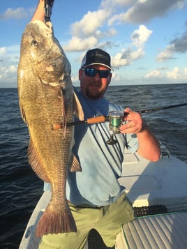 Black Drum Fishing in Port O'Connor, Texas