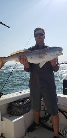 Redfish Fishing in Galveston, Texas