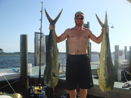 Mahi Mahi Fishing in Panama City, Florida