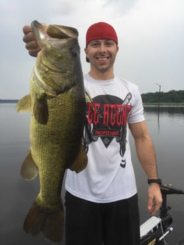 Largemouth Bass Fishing in Lake Fork, Texas