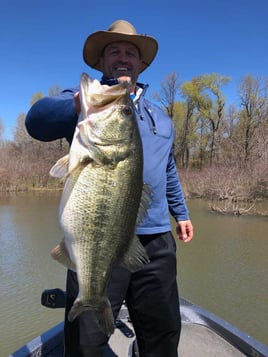 Largemouth Bass Fishing in Lake Fork, Texas