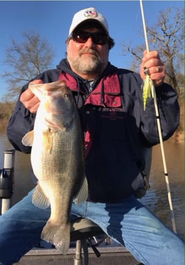 Largemouth Bass Fishing in Lake Fork, Texas