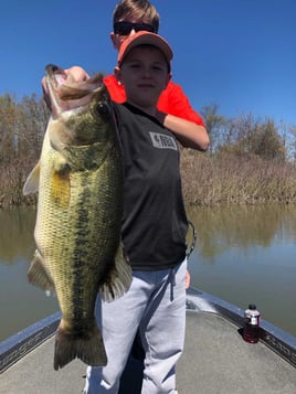 Largemouth Bass Fishing in Lake Fork, Texas