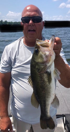 Largemouth Bass Fishing in Lake Fork, Texas