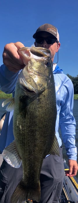 Largemouth Bass Fishing in Lake Fork, Texas