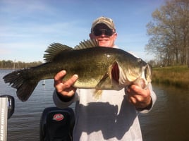 Largemouth Bass Fishing in Lake Fork, Texas