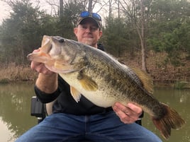 Largemouth Bass Fishing in Lake Fork, Texas