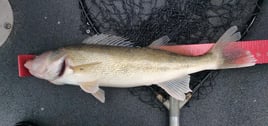 Open Water Fishing Fox Lake, IL