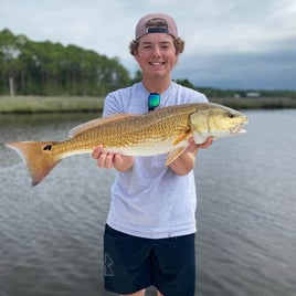 Redfish Fishing in Santa Rosa Beach, Florida