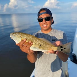 Redfish Fishing in Santa Rosa Beach, Florida