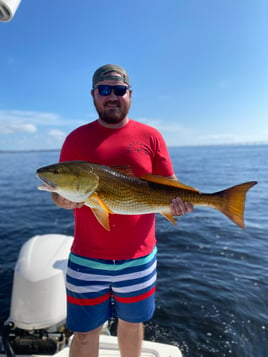 Redfish Fishing in Santa Rosa Beach, Florida