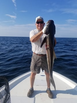 Cobia Fishing in Fort Walton Beach, Florida