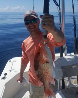 Red Snapper Fishing in Destin, Florida