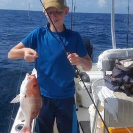 Red Snapper Fishing in Destin, Florida