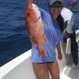 Red Snapper Fishing in Destin, Florida