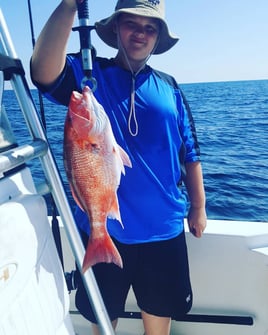 Red Snapper Fishing in Destin, Florida