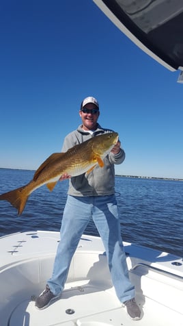 Redfish Fishing in Destin, Florida