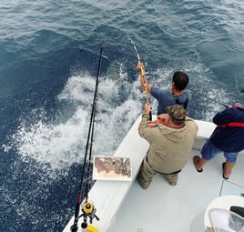 Destin Harbor Fishing Trip