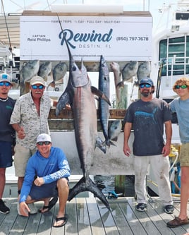 Destin Harbor Fishing Trip