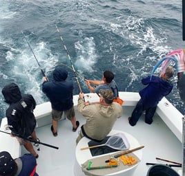 Destin Harbor Fishing Trip