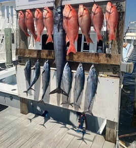 Destin Harbor Fishing Trip