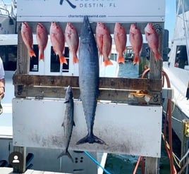 Destin Harbor Fishing Trip