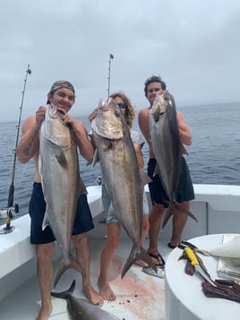 Destin Harbor Fishing Trip