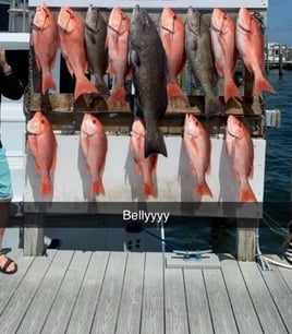 Destin Harbor Fishing Trip