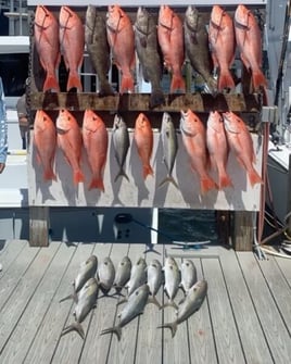 Destin Harbor Fishing Trip