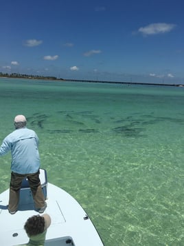 Summerland Key Tarpon Fishing