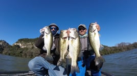 Largemouth Bass Fishing in Austin, Texas